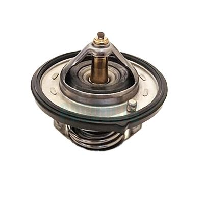 TERMOSTAT LICHID RACIRE HOFFER 8192631