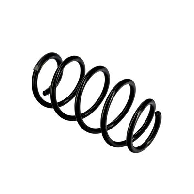 ARC SPIRAL EIBACH R10096 10