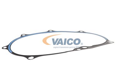 DICHTUNG STEUERGEHäUSE VAICO V105594 37