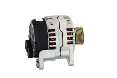 GENERATOR / ALTERNATOR REMANTE 011003000033R 43