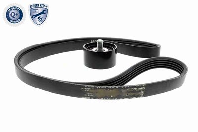 SET CUREA TRANSMISIE CU CANELURI ACKOJA A520515 1