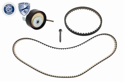 SET CUREA DE DISTRIBUTIE