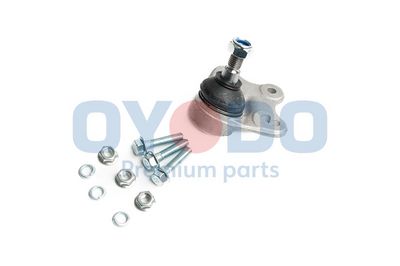 Šarnyras / girgždukas