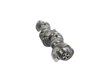 ARBORE COTIT ET ENGINETEAM HK0211 23