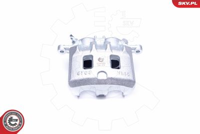 Brake Caliper 42SKV981