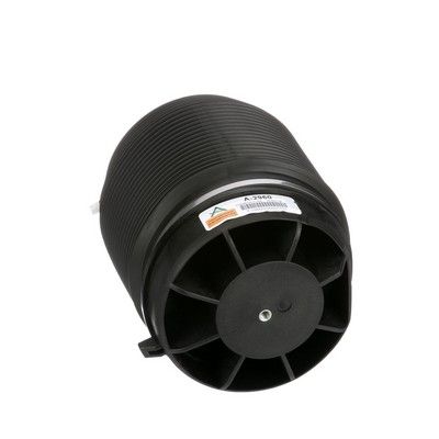 LUFTFEDER FAHRWERK Arnott A2960 33