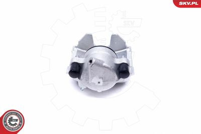 Brake Caliper 46SKV352