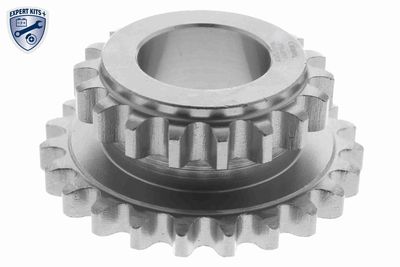 ROATA DINTATA ARBORE COTIT