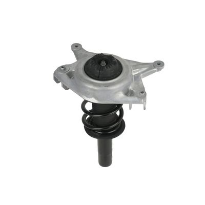 AMORTIZOR Arnott SK3842 67