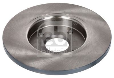 Brake disc Achter Links/Rechts past: BYD DOLPHIN, DOLPHIN SURF Electric 08.21-