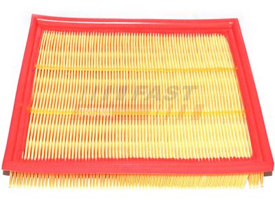FAST Oro filtras