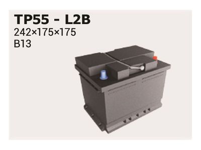 IPSA Starterbatterie Polar (TP55)