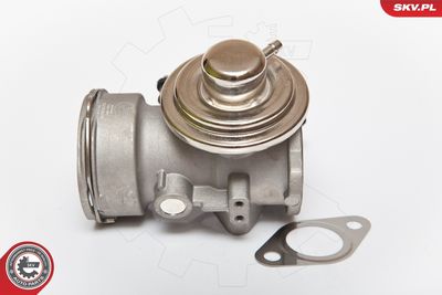 EGR Valve 14SKV081