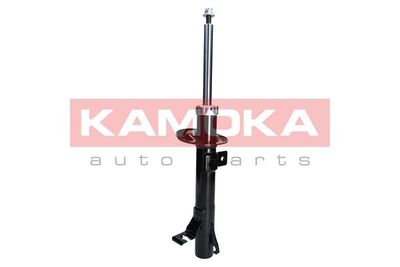 Shock Absorber 2000259