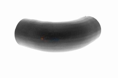 LADELUFTSCHLAUCH VAICO V420565 6