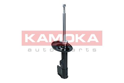 Shock Absorber 2000500