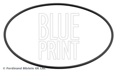 SIMERING RULMENT ROATA BLUE PRINT ADBP640034