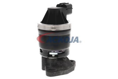 SUPAPA EGR ACKOJA A26630002 54