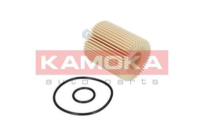 Oil Filter F108101