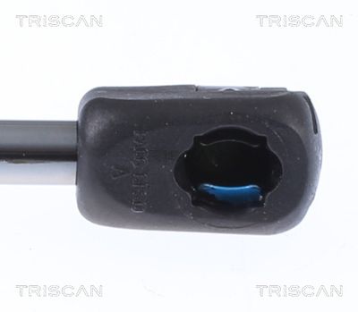 Kaasujousi, konepelti TRISCAN 8710 81101