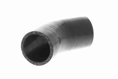 FURTUN EAR SUPRAALIMENTARE ACKOJA A389604 9