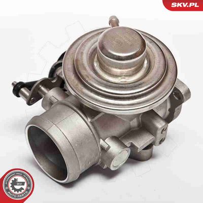 SUPAPA EGR ESEN SKV 14SKV020