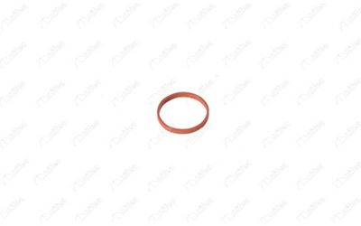 Bague d'étanchéité, gaine de suralimentation