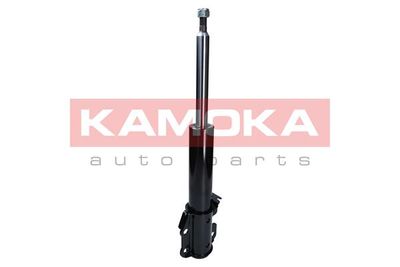 Shock Absorber 2000475