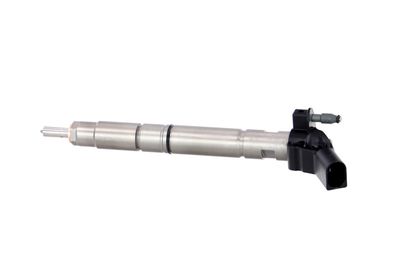 INJECTOR REMANTE 002003001138R 14