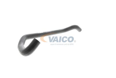 KüHLERSCHLAUCH VAICO V302967 52
