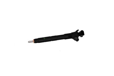 INJECTOR REMANTE 002003002260R 7
