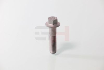 SURUB CAPAT DE AX GH GH392549 45