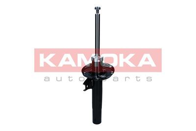 Shock Absorber 2001185