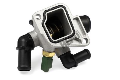 TERMOSTAT LICHID RACIRE