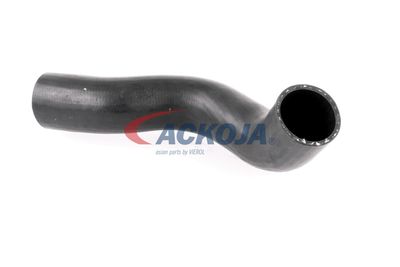 FURTUN EAR SUPRAALIMENTARE ACKOJA A380307 15