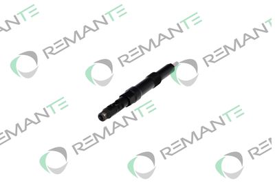 INJECTOR REMANTE 002003000113R 2