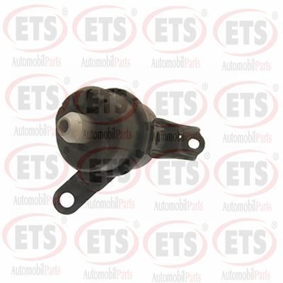 окачване, двигател ETS 14.EM.202