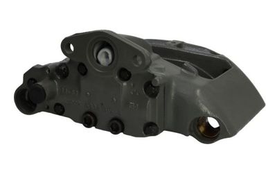 Jarrusatula SBP TEQ-BC.079