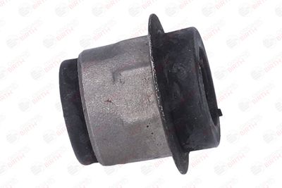 SUPORT TRAPEZ BIRTH 2008 10