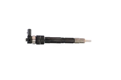 INJECTOR REMANTE 002003000034R 38