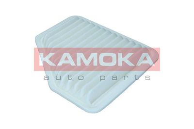 Air Filter F242101