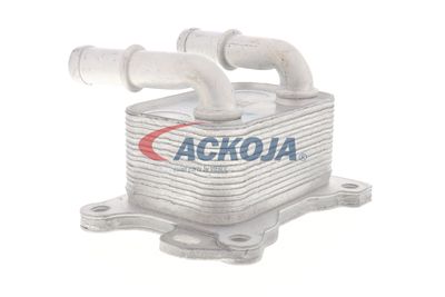 RADIATOR ULEI ULEI MOTOR ACKOJA A38600004 29