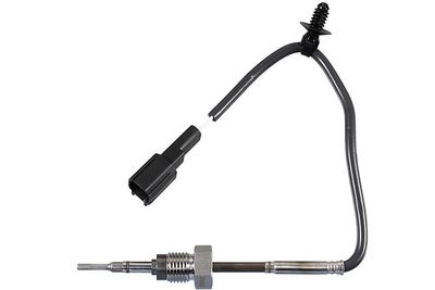 Sensor, Abgastemperatur