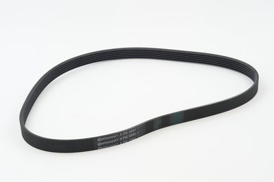 CONTINENTAL CTAM Keilrippenriemen