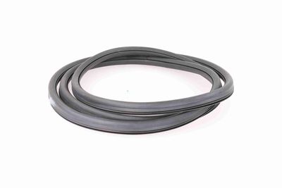 GARNITURA PARBRIZ VAICO V100086 3