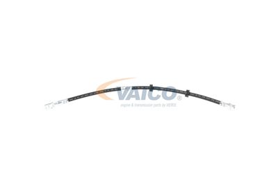 FURTUN FRANA VAICO V104226 3