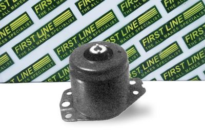 окачване, двигател FIRST LINE FEM3067