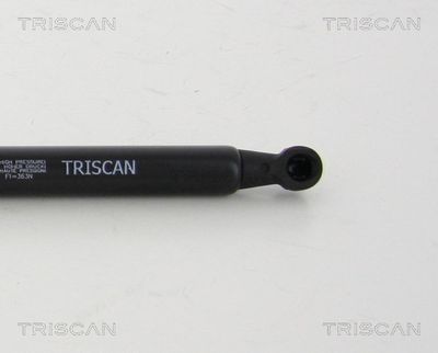 Amortizor portbagaj TRISCAN 8710 24255