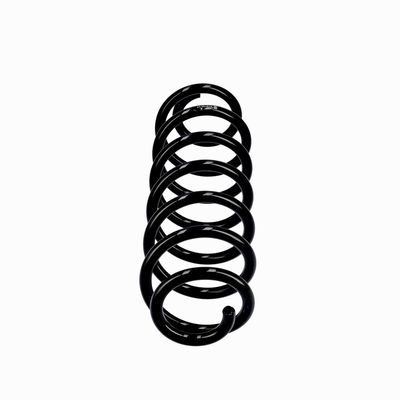 ARC SPIRAL EIBACH R10793 13