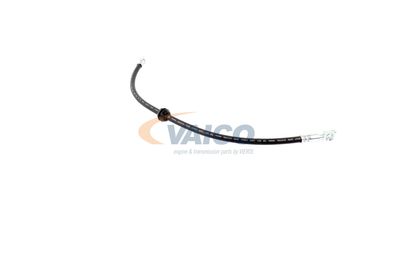 FURTUN FRANA VAICO V201909 41